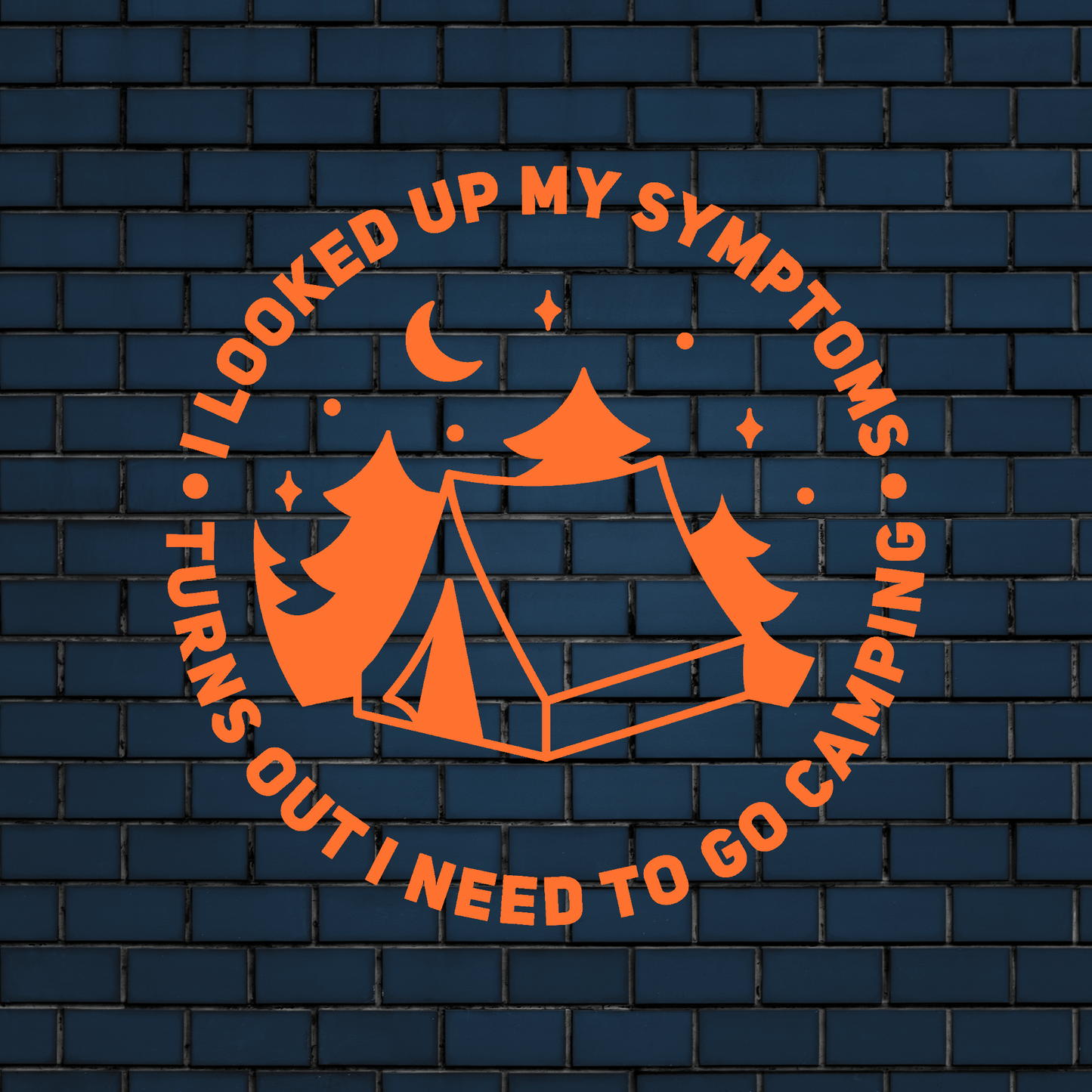 I looked up my symptoms, i need to go camping decal