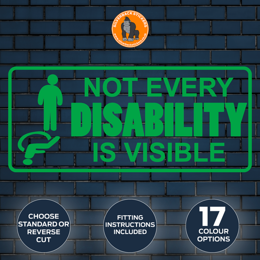 Not every disability is visible decal| disabled decal | Disability car sticker |